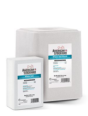 Salt Plain 50-lb block