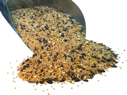 Bar Ale Wild Bird Pacific Delight w/SF, 40-lb