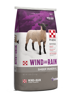 Wind&Rain Sheep Mineral