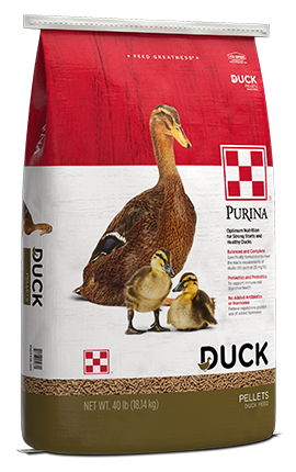 Duck Pellet 40lb