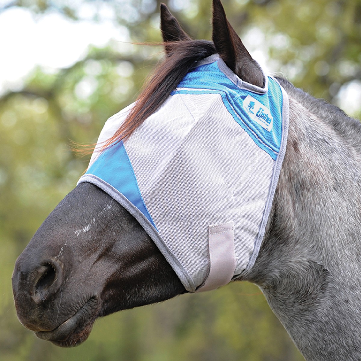 Crusader Yearling Fly Mask Blue CFMYS-BL