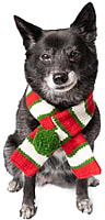 Chilly Dog -Chilly Dog’s Christmas Scarf - M