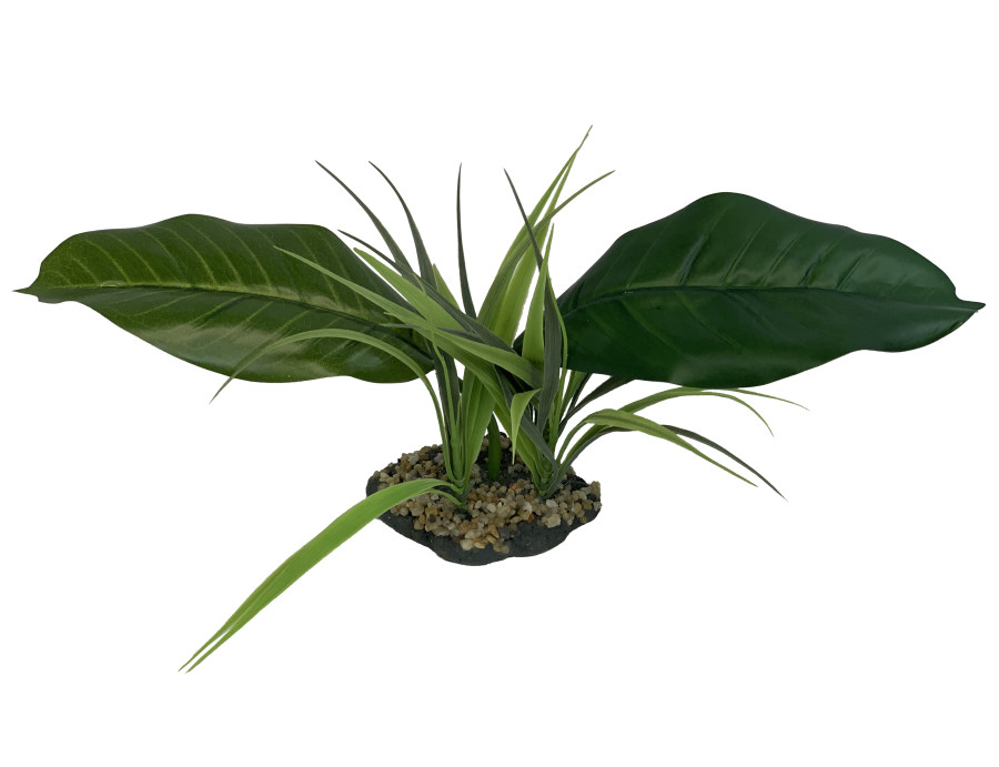 Komodo Terrarium Aquarium Plant Woodland Canopy
