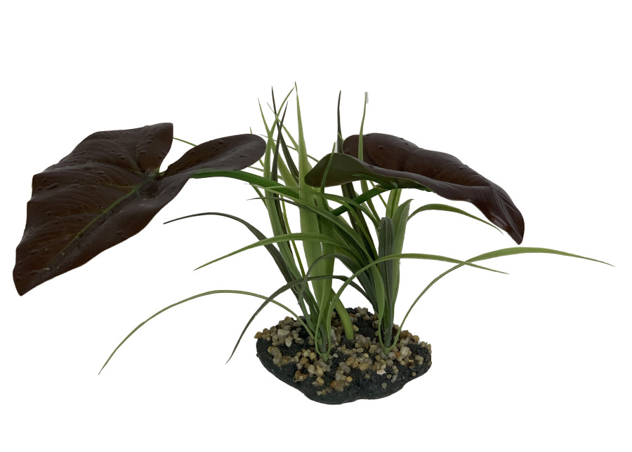Komodo Terrarium Aquarium Plant Jungle Canopy