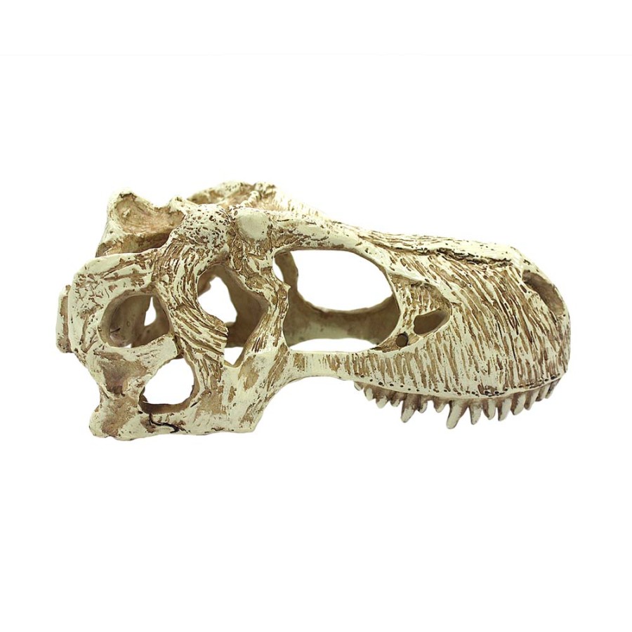 Komodo Realistic Decor Ornament T-rex Skull XL