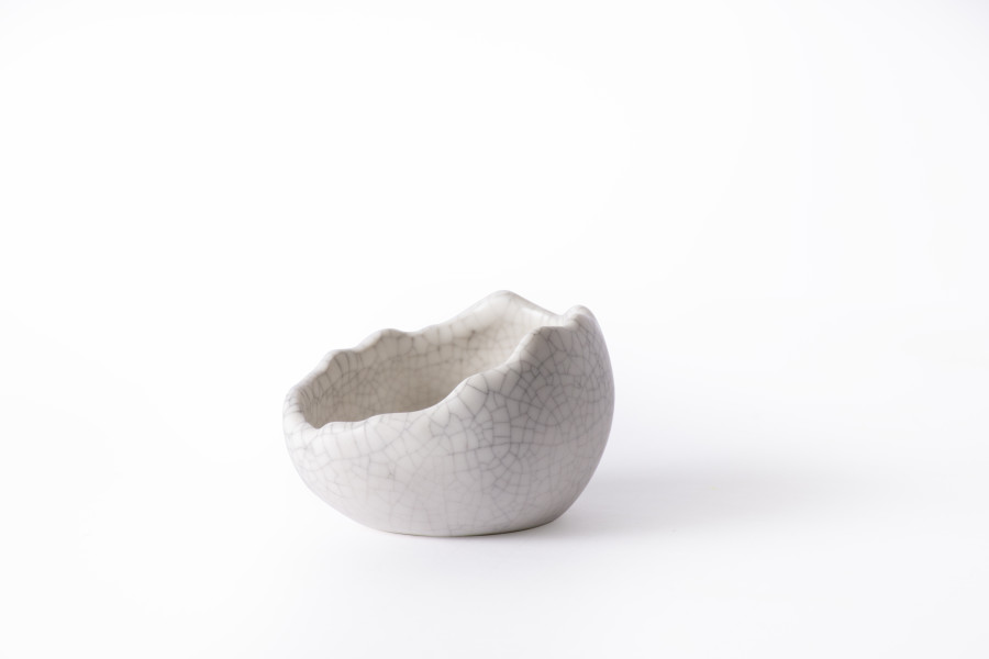 Galapagos Ceramic Egg Dish for Feeding and Soaking