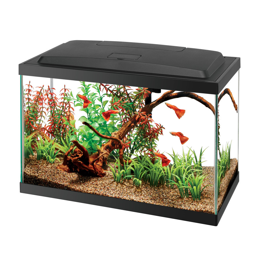 Aqueon LED 5.5 Gallon Aquarium Kit