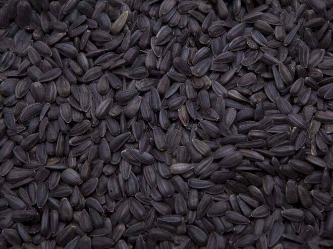 Bar Ale Nature's Supreme Black Oil Sunflower Seed 40lbs