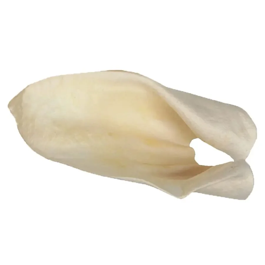 Cow Ear Bulk 2.49 each