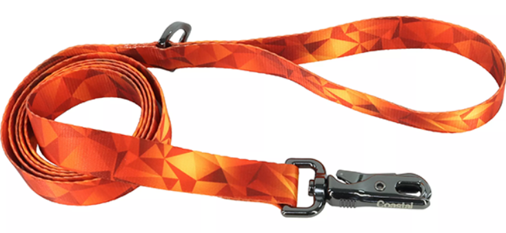 Inspire Dog Leash Blazing Shards Sm/Med 5/8"x6'