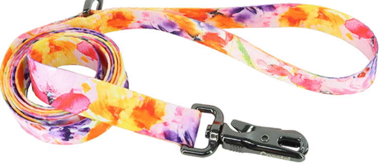 Inspire Dog Leash Sherbet Blooms Sm/Med 5/8"x6'