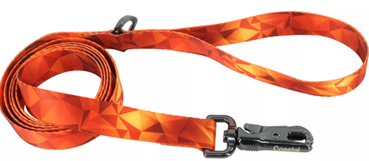 Inspire Dog Leash Blazing Shards Med/Lg 1"x6'