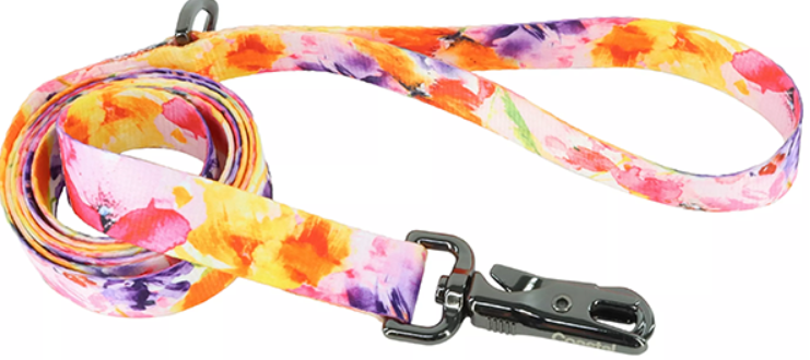Inspire Dog Leash Sherbet Blooms Med/Lg 1"x6