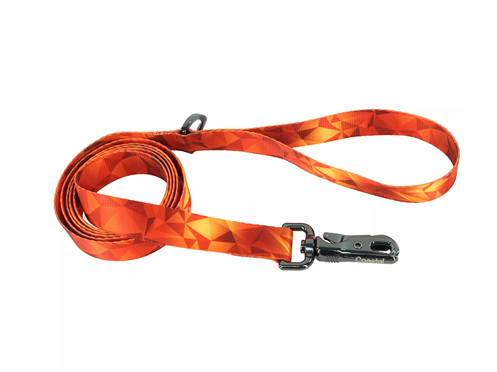Li'l Pals Dog Leash Blazing Shards Sm/Med 5/8"x6'