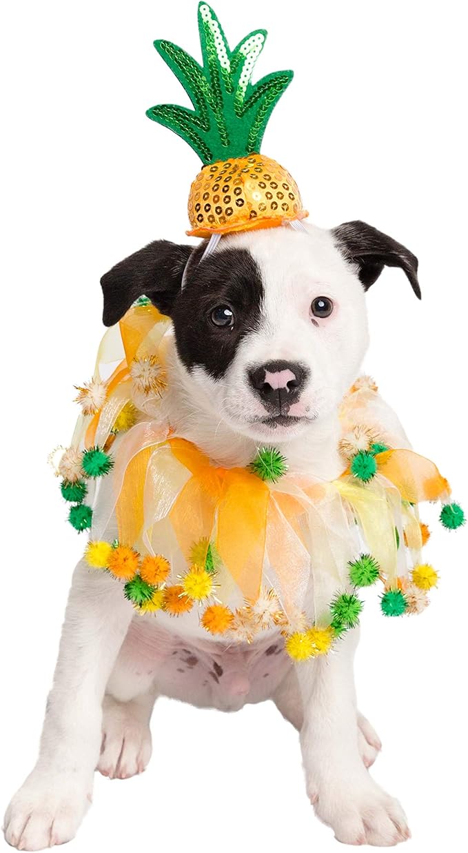 Pet Krewe Pineapple Dog & Cat Hat and Collar, Large/X-Large (Size: Large/X-Large)