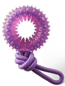 Purple Wheel - Dental Chew & Tug Dog Toy - Outward Hound