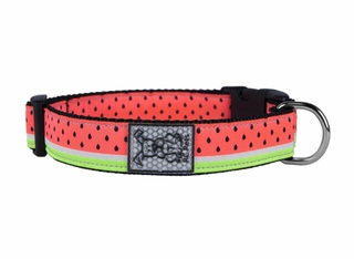 rc pets watermelon collar