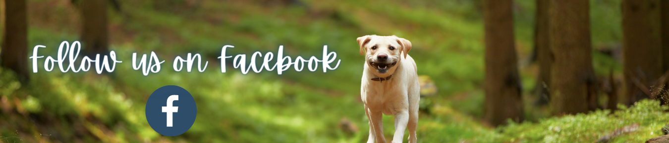 FACEBOOK PAGE