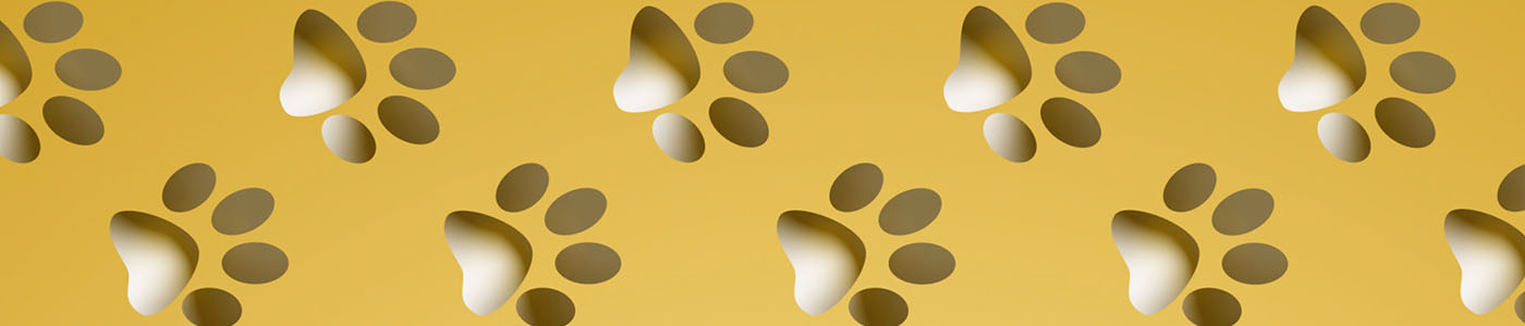 store banner