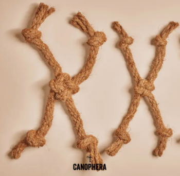 Canophera Cocospider - Large