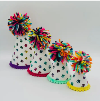 Pup Party Hats Rainbow Paws Party Hat - S