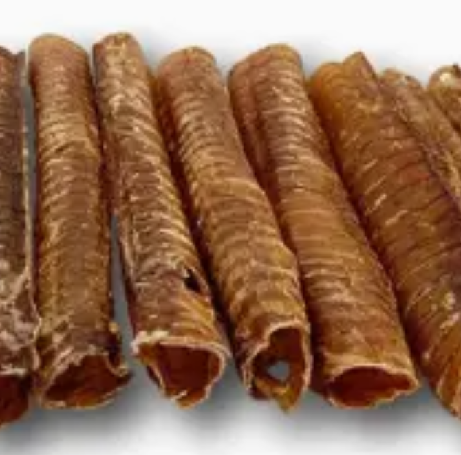 Beef Trachea - 12 Inch