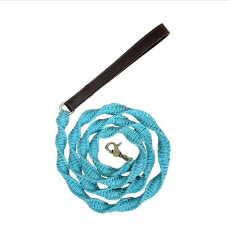 BayDog Seaside Leash Sea Foam 6'