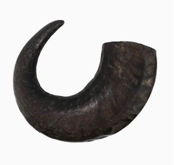 Premium Water Buffalo Horns - Large