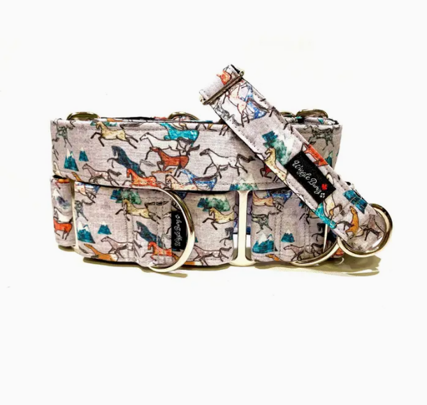 All The Wild Horses Dog Collar, Buckle / Collar - 2.0 x 20-26In