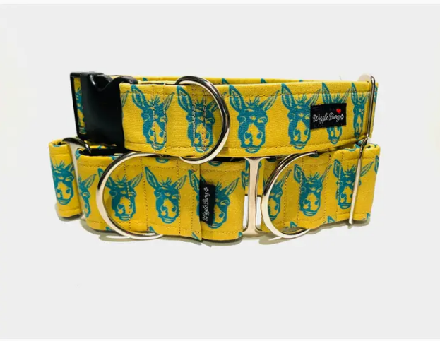 Donkey Days Dog Collar,Buckle / Collar - 1.5 x 20-26In