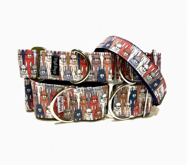Llama Dog Collar, Buckle / Collar - 1.5 x 16-22In