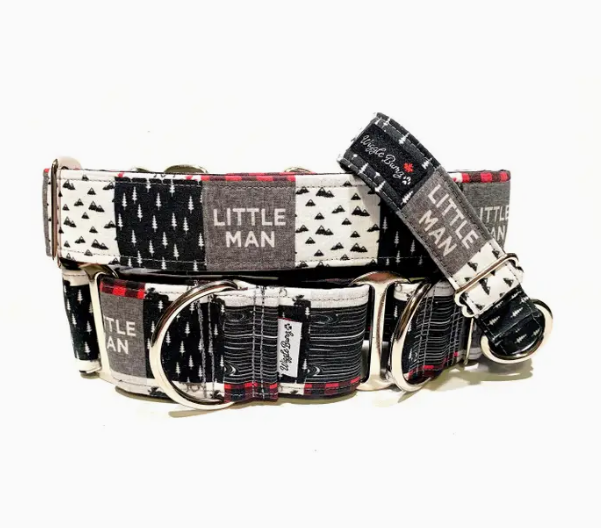 Little Man Dog Collar, Martingale & Buckle / Collar - 1.0 x 16-22In