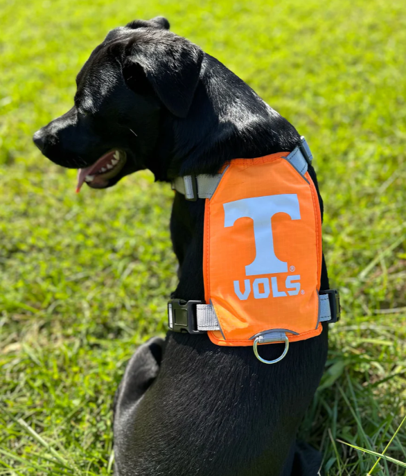 Tennessee Volunteers Dog Harness, XLarge