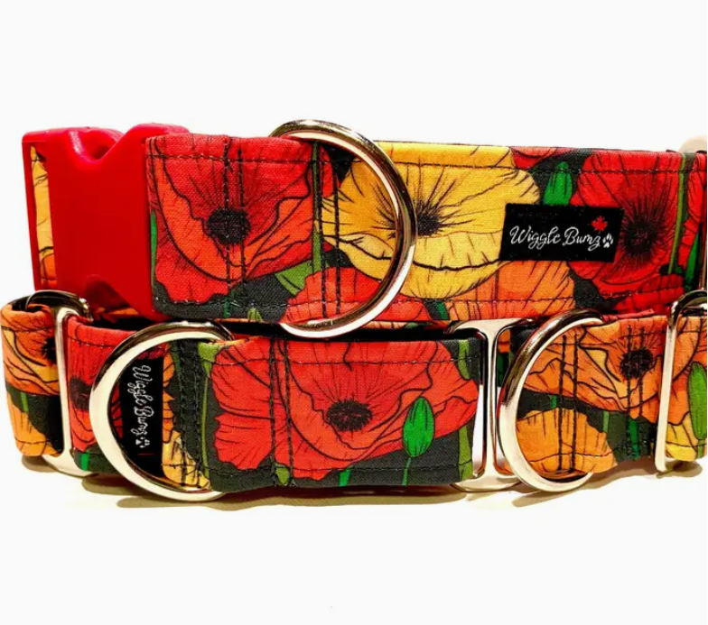 Poppy Garden Dog Collar, Buckle / Collar - 1.0 x 8-14In