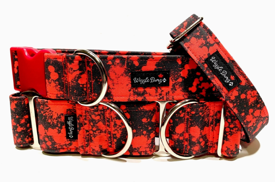 Dexter Dog Collar, Buckle / Collar - 1.0 x 12-18In