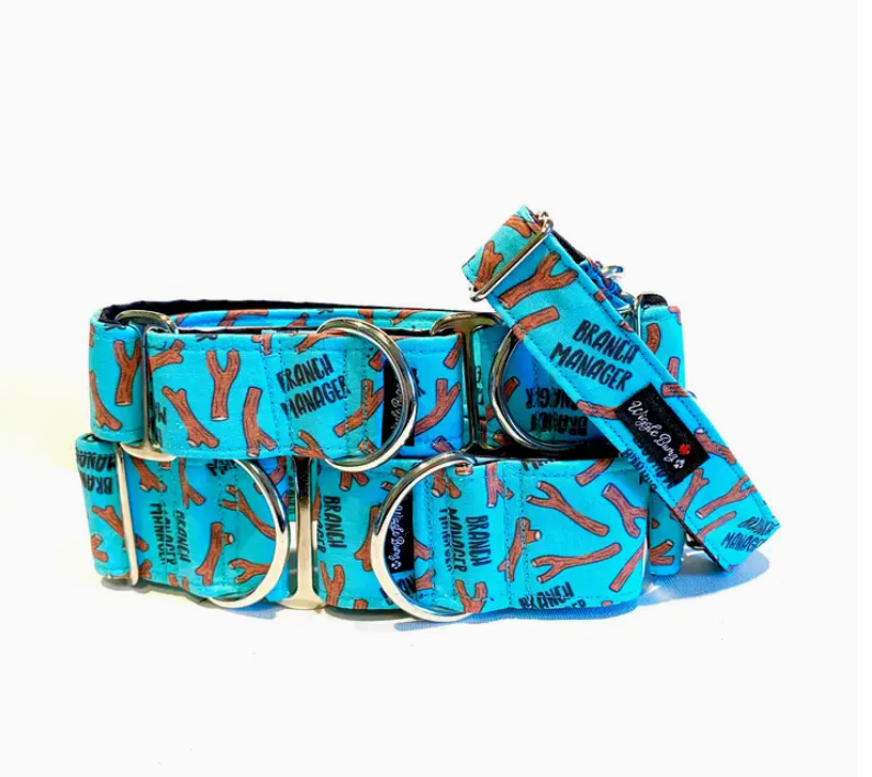Branch Manager Dog Collar - 1.0 x 16-22in  Long, Buckle Collar