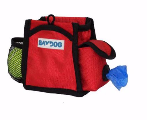 Clifford Red Dog Pack N Go