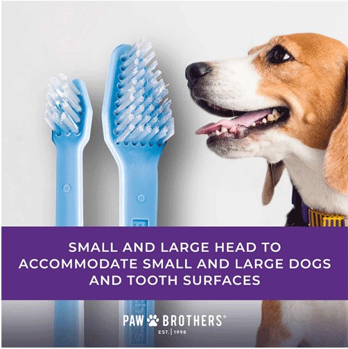 Paw Brothers Dual-End Toothbrush 50ct