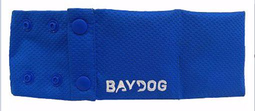 MEDIUM BLUE COOLING COLLAR