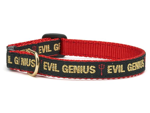 Evil Genius Cat Collar 12in