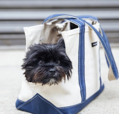 Wag Wear Small Blue Bag