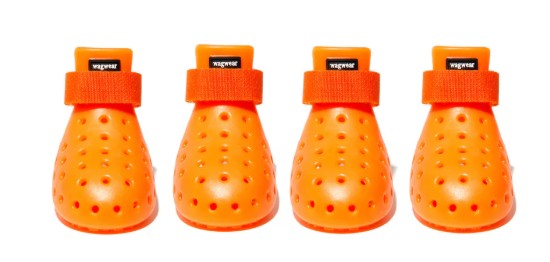 Wag Wear XL Orange Shoes