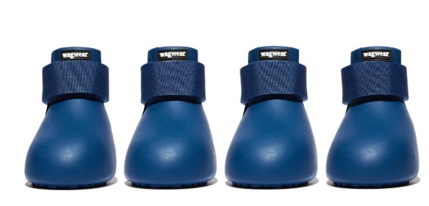 Wag Wear XL Navy Blue Shoes