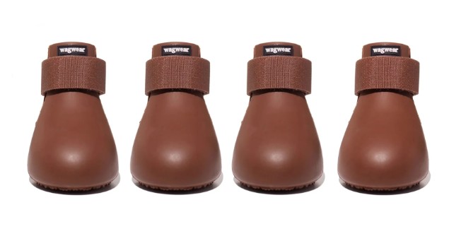 Wag Wear L Brown Shoes