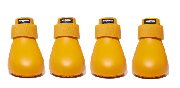 Wag Wear M Yellow Shoes