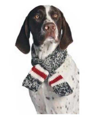 Boyfriend Scarf