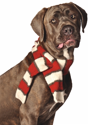 White/Red Scarf L