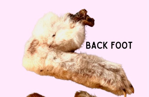 Rabbit Foot
