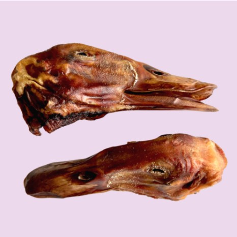 Duck Head
