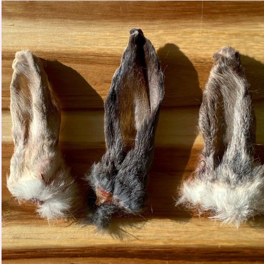 Rabbit Ear